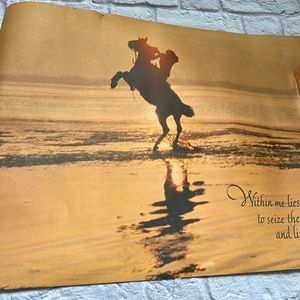 Vintage Horse dreams poster 1981